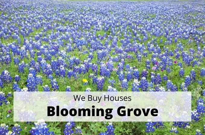 We Buy Houses in Blooming Grove, Texas - Local Cash Buyers