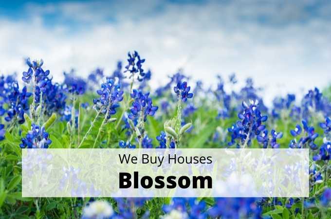 We Buy Houses in Blossom, Texas - Local Cash Buyers